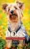 Dogs Pocket Monthly Planner 2017 - 16 Month Calendar (Paperback) - David Mann Photo