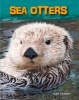 Sea Otters (Hardcover) - Louise Spilsbury Photo