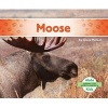 Moose (Hardcover) - Grace Hansen Photo