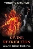 Divine Retribution - Catalyst Trilogy Book 2 (Paperback) - Timothy Diamond Photo