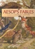 Aesop's Fables (Hardcover) - Charles Santore Photo