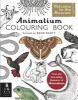 Animalium Colouring Book (Paperback) - Kate Baker Photo