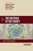 Two Views on the Doctrine of the Trinity (Paperback) - Stephen R Holmes Photo