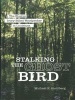 Stalking the Ghost Bird - The Elusive Ivory-Billed Woodpecker in Louisiana (Hardcover) - Michael K Steinberg Photo