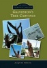 Galveston S Tree Carvings (Paperback) - Joseph R Pellerin Photo