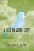 A Bird on Water Street (Paperback) - Elizabeth O Dulemba Photo