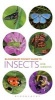 Pocket Guide to Insects (Paperback) - Bob Gibbons Photo