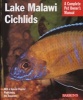 Lake Malawi Cichlids - A Complete Pet Owner's Guide (Paperback) - Mark Smith Photo