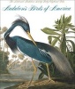 Audubon's Birds of America - The Audubon Society Baby Elephant Folio (Hardcover, Revised) - John james Audubon Photo