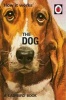 How it Works: The Dog (Hardcover) - Jason Hazeley Photo