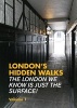 London's Hidden Walks, Volume 1 (Paperback, 2nd Revised edition) - Stephen Millar Photo