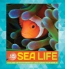 Sea Life - A Close-Up Photographic Look Inside Your World (Hardcover) - Heidi Fiedler Photo