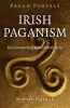 Irish Paganism - Reconstructing Irish Polytheism (Paperback) - Morgan Daimler Photo