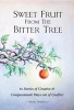 Sweet Fruit from the Bitter Tree - 61 Stories of Creative & Compassionate Ways Out of Conflict (Paperback) - Mark Andreas Photo