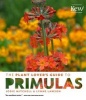 The Plant Lover's Guide to Primulas (Hardcover) - Jodie Mitchell Photo