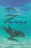 Beyond the Blue - Dolphins and Their Healing Powers (Paperback, New edition) - Amanda Cochrane Photo