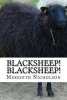 Blacksheep! Blacksheep! (Paperback) - Meredith Nicholson Photo