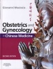 Obstetrics and Gynecology in Chinese Medicine (Hardcover, 2nd Revised edition) - Giovanni Maciocia Photo