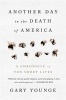 Another Day in the Death of America - A Chronicle of Ten Short Lives (Hardcover) - Gary Younge Photo