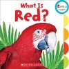 What Is Red? (Board book) -  Photo