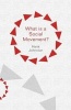 What is a Social Movement? (Paperback) - Hank Johnston Photo