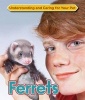 Ferrets (Hardcover) - Anne McBride Photo