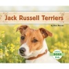 Jack Russell Terriers (Hardcover) - Nico Barnes Photo