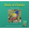 Birds of Florida Audio (CD-ROM) - Stan Tekiela Photo