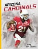 Arizona Cardinals (Hardcover) - Andres Ybarra Photo