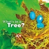 What's in a Tree? (Paperback) - Martha E H Rustad Photo