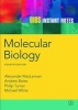 BIOS Instant Notes in Molecular Biology (Paperback, 4th Revised edition) - Phil Turner Photo