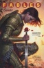 Fables, Volume 20 - Camelot (Paperback) - Bill Willingham Photo