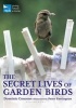 The Secret Lives of Garden Birds (Paperback) - Dominic Couzens Photo