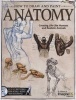 How to Draw and Paint Anatomy - Creating Life-Like Humans and Realistic Animals (Paperback, annotated edition) - Editors at Future Publishing Photo