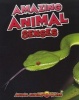 Amazing Animal Senses (Paperback) - John Townsend Photo