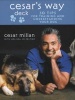 Cesar's Way Deck - 50 Tips For Training And Understanding Your Dog (Cards) - Cesar Millan Photo