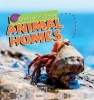 Animal Homes (Hardcover) - Deborah Chancellor Photo