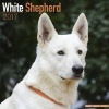 White Shepherd Calendar 2017 (Calendar) - Avonside Publishing Ltd Photo