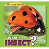 What's an Insect? (Paperback) - Anna Kaspar Photo