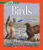 Birds (Paperback) - Ann O Squire Photo