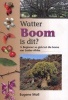 Watter Boom is Dit? - 'n Beginner Se Gids Tot Die Bome Van Suider-Afrika (Afrikaans, Paperback) - Eugene Moll Photo