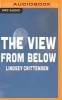 The View from Below (MP3 format, CD) - Lindsey Crittenden Photo