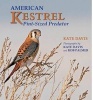 American Kestrel - Pint-Sized Predator (Paperback) - Kate Davis Photo