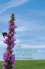 The Fascination of Weeds (Paperback) - Alick Jones Photo