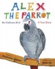 Alex the Parrot: No Ordinary Bird - A True Story (Hardcover) - Stephanie Spinner Photo