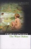 Collins Classics - The Water Babies (Paperback) - Charles Kingsley Photo