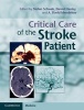 Critical Care of the Stroke Patient (Hardcover) - Stefan Schwab Photo