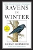 Ravens in Winter (Paperback) - Bernd Heinrich Photo