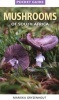 Pocket Guide Mushrooms of South Africa (Paperback) - Marieka Gryzenhout Photo