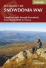 The Snowdonia Way - A Walking Route Through Snowdonia from Machynlleth to Conwy (Paperback) - Alex Kendall Photo